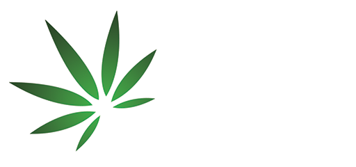 CBD Oil